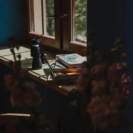 Szumilas Miejsce Spotkan *