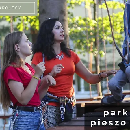 Szumilas Miejsce Spotkan *