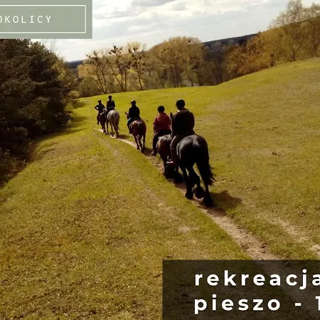 Szumilas Miejsce Spotkan Bydgoszcz