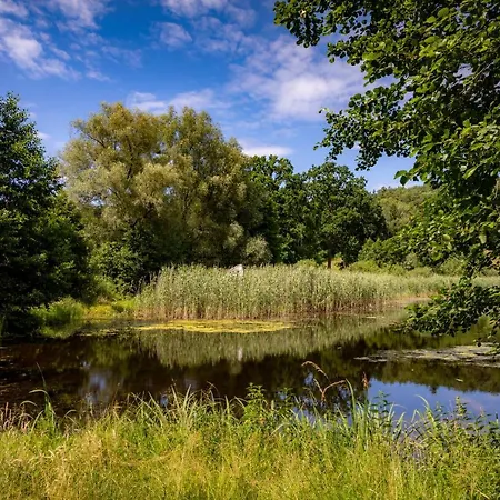 Szumilas Miejsce Spotkan Gasthuis *