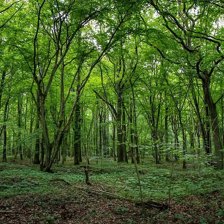 Szumilas Miejsce Spotkan Vendégház Bydgoszcz