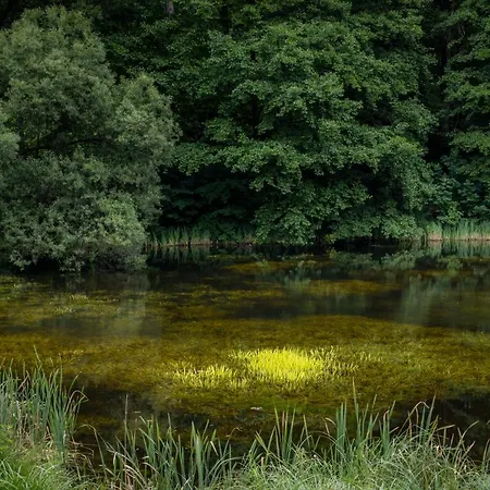 Szumilas Miejsce Spotkan * Bydgoszcz
