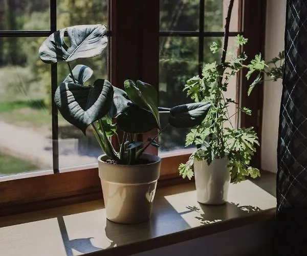 Szumilas Miejsce Spotkan Maison d'hôtes *