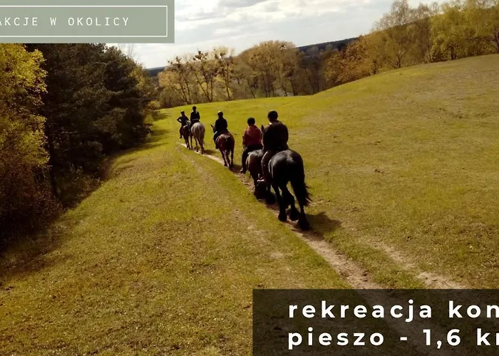 Szumilas Miejsce Spotkan Bydgoszcz