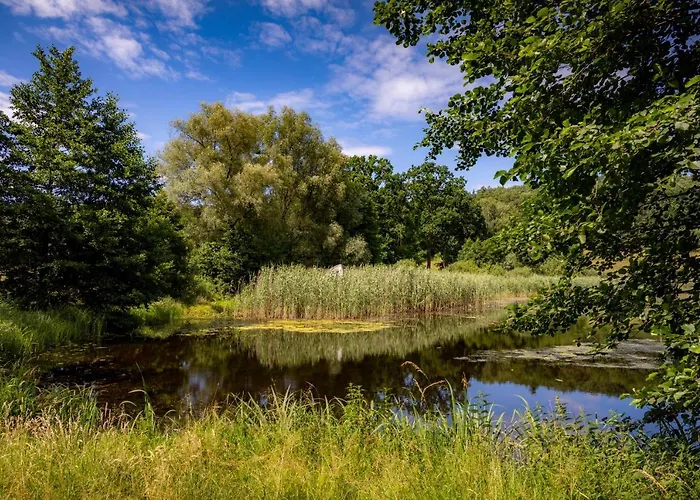 Szumilas Miejsce Spotkan Affittacamere *