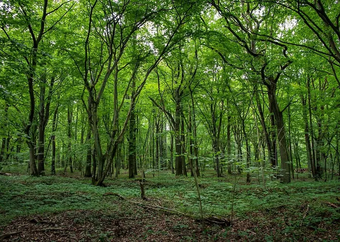 Szumilas Miejsce Spotkan Affittacamere Bydgoszcz
