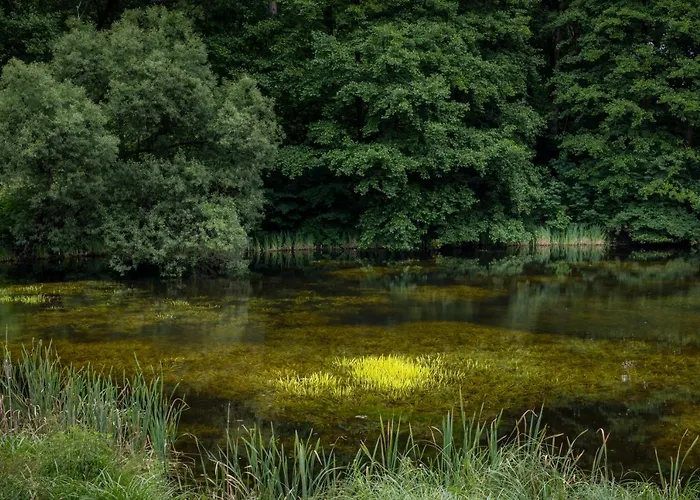 Szumilas Miejsce Spotkan * Bydgoszcz